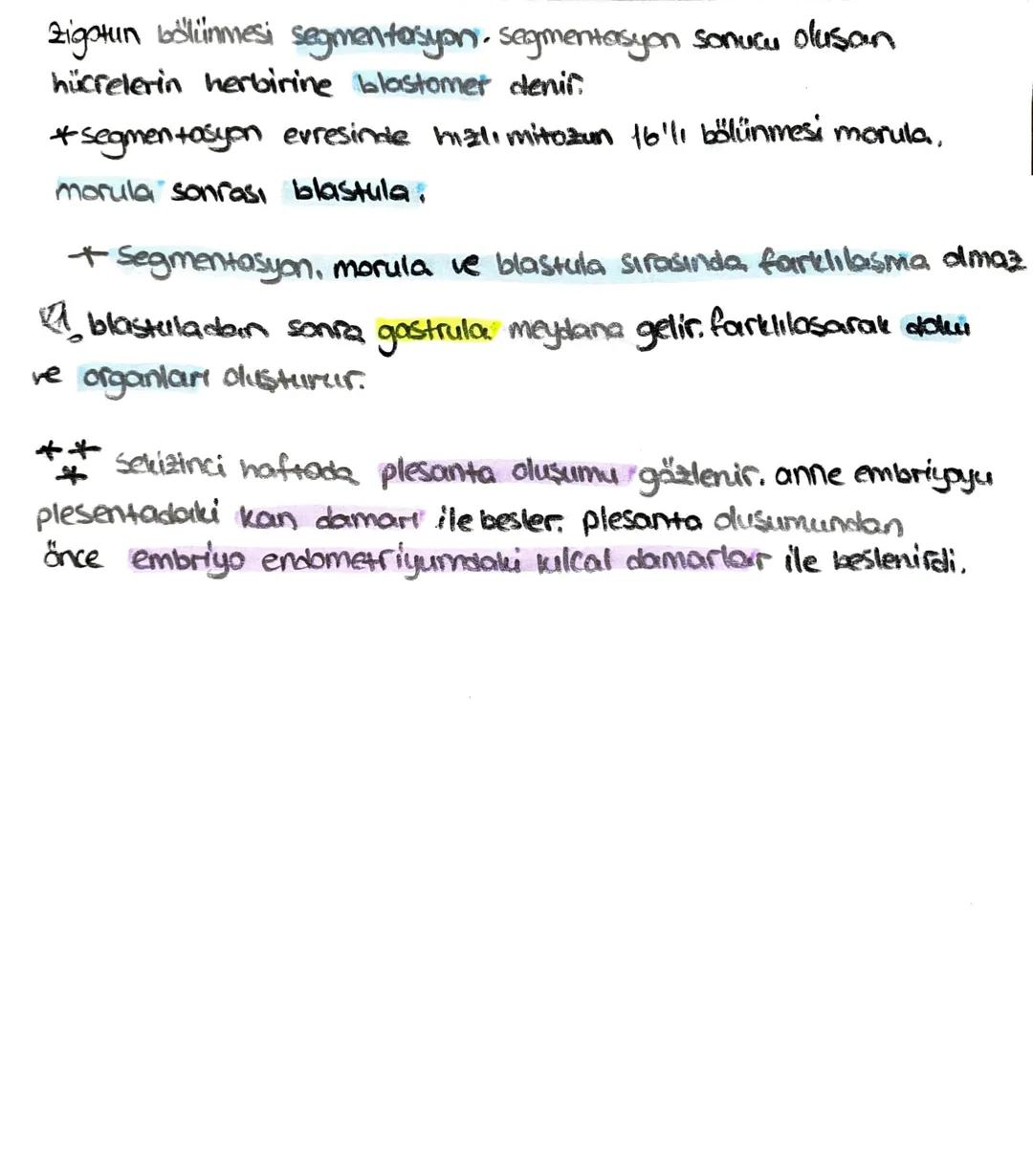 ön
Hipofiz
arka
ACTH (böbrek üstú bezi)
*STH (büyüme)
* TSH (tiroit uyanıcı)
*MSH (deriye renk)
*LTH (süt bezi)
+ FSH (testis, yumurtalık)
L