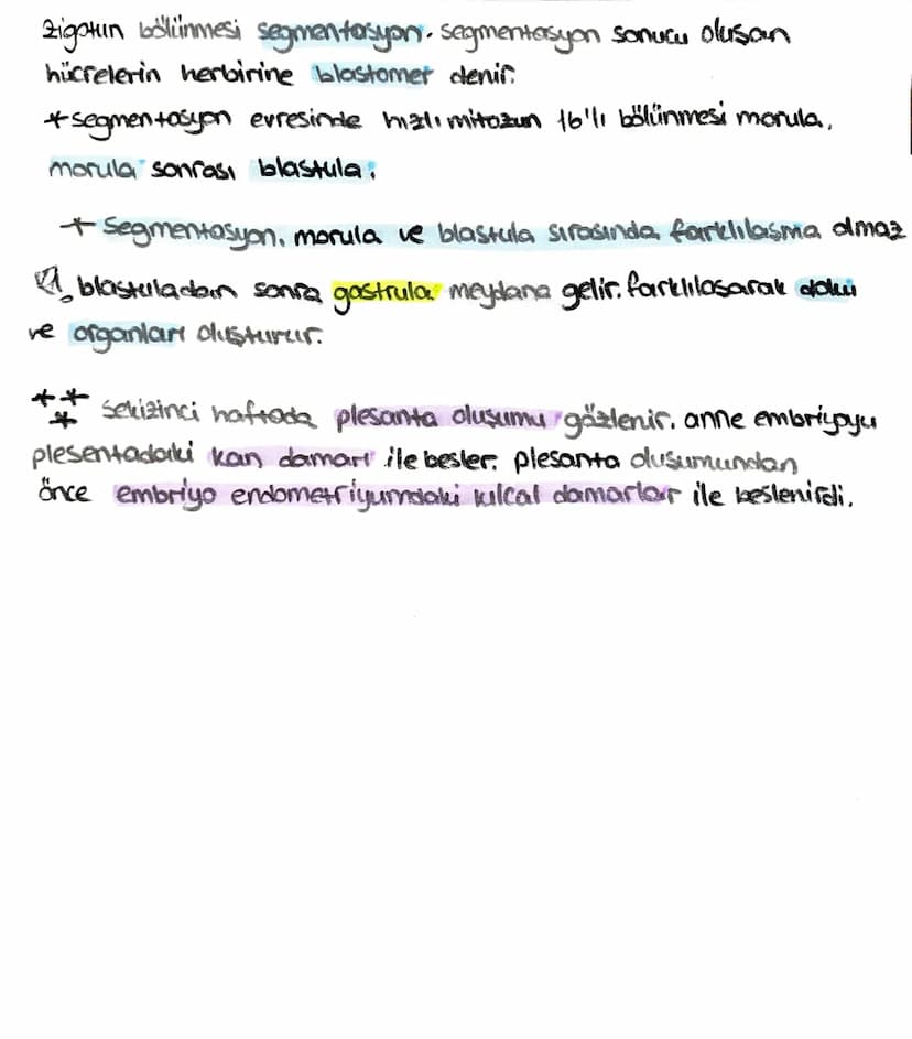 ön
Hipofiz
arka
ACTH (böbrek üstú bezi)
*STH (büyüme)
* TSH (tiroit uyanıcı)
*MSH (deriye renk)
*LTH (süt bezi)
+ FSH (testis, yumurtalık)
L