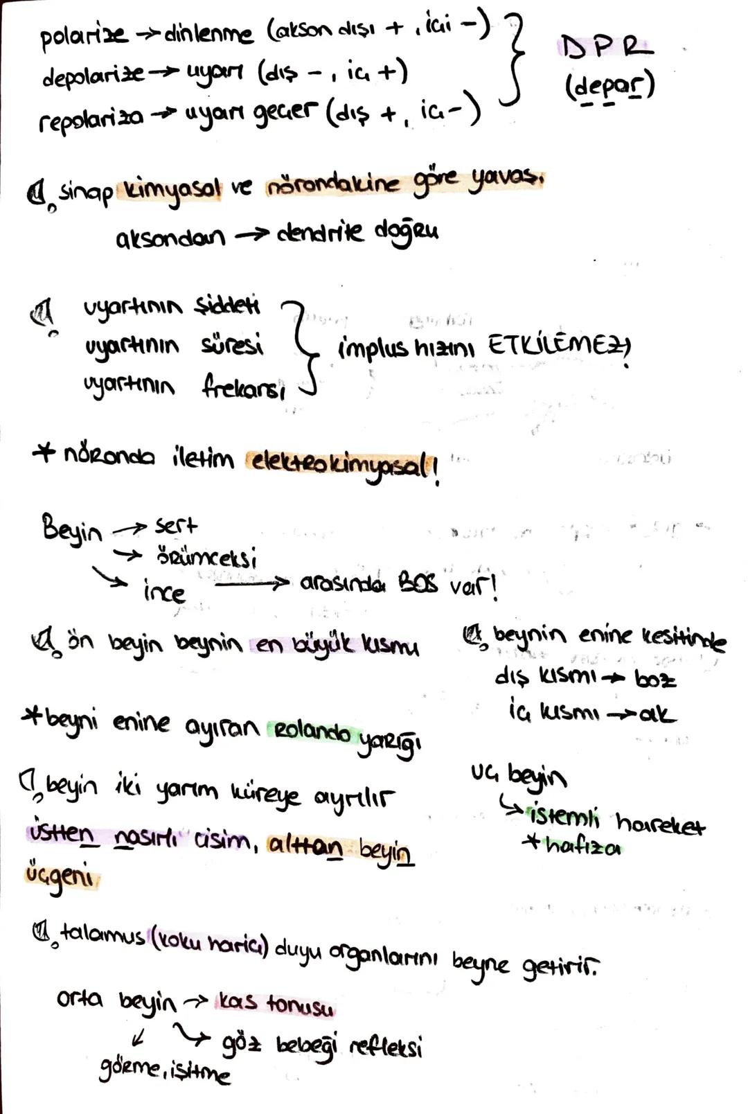 ön
Hipofiz
arka
ACTH (böbrek üstú bezi)
*STH (büyüme)
* TSH (tiroit uyanıcı)
*MSH (deriye renk)
*LTH (süt bezi)
+ FSH (testis, yumurtalık)
L