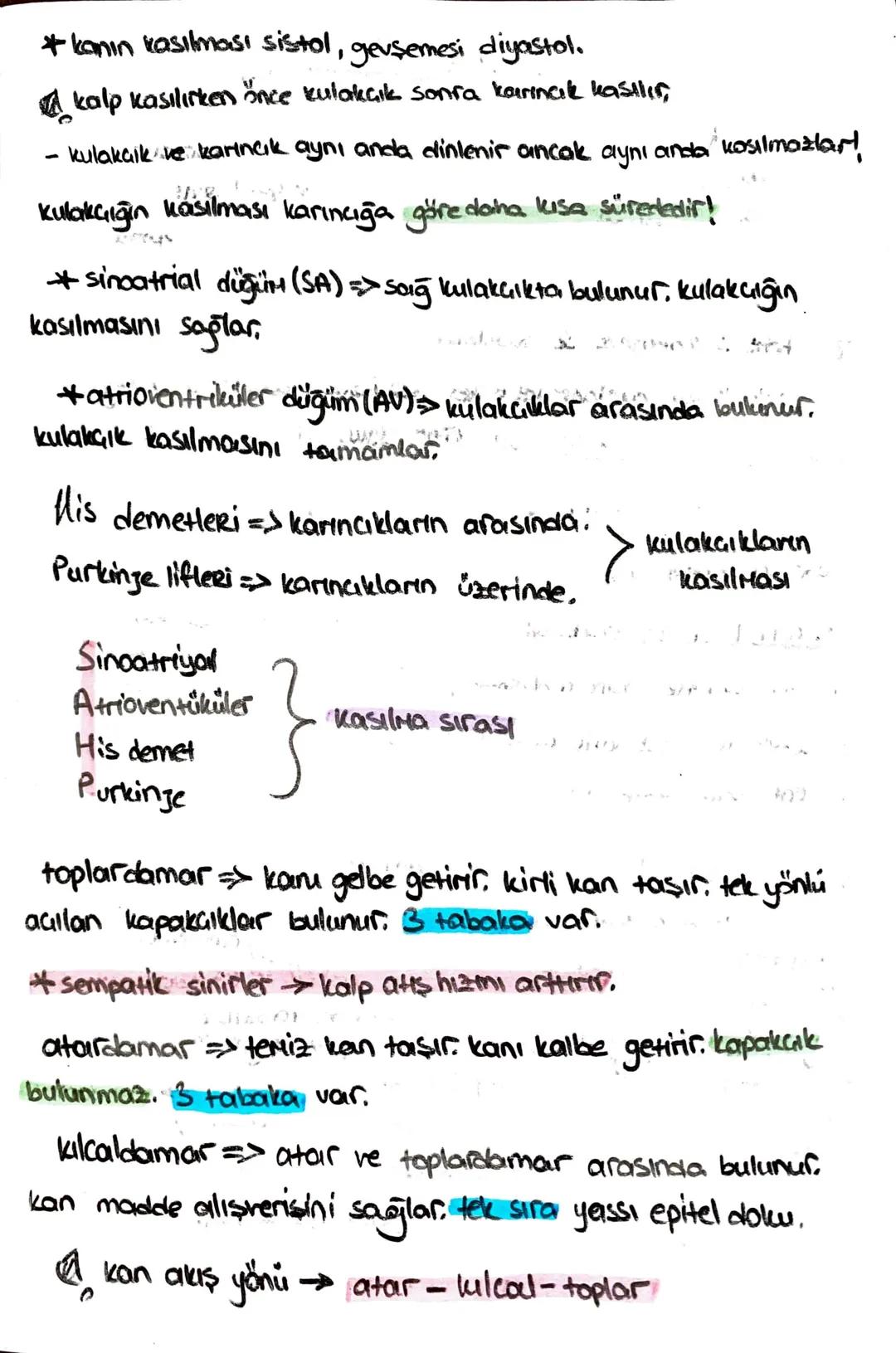 ön
Hipofiz
arka
ACTH (böbrek üstú bezi)
*STH (büyüme)
* TSH (tiroit uyanıcı)
*MSH (deriye renk)
*LTH (süt bezi)
+ FSH (testis, yumurtalık)
L