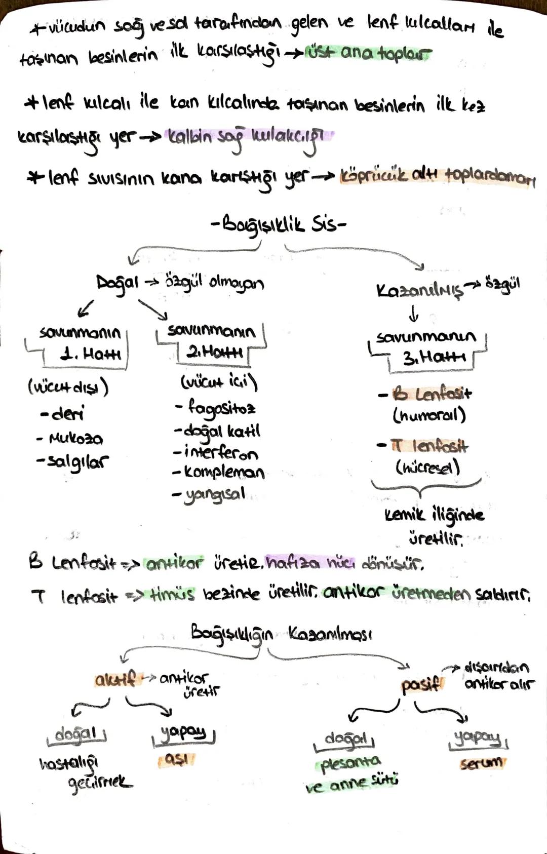 ön
Hipofiz
arka
ACTH (böbrek üstú bezi)
*STH (büyüme)
* TSH (tiroit uyanıcı)
*MSH (deriye renk)
*LTH (süt bezi)
+ FSH (testis, yumurtalık)
L