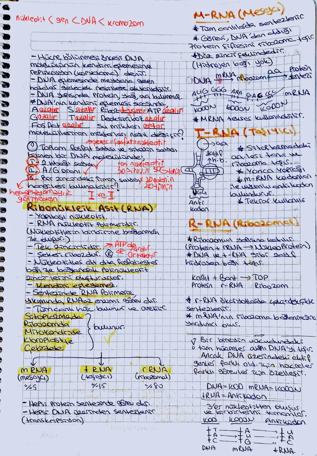 J
ENZIMLER
Basit Enzim
Sadece
Protein
bulunur.
Protein
Bileşik Enzim
# Hem protein
nem yordurici
kısım burnus.
②PH
Tepkime hIRI
: Her enzimi