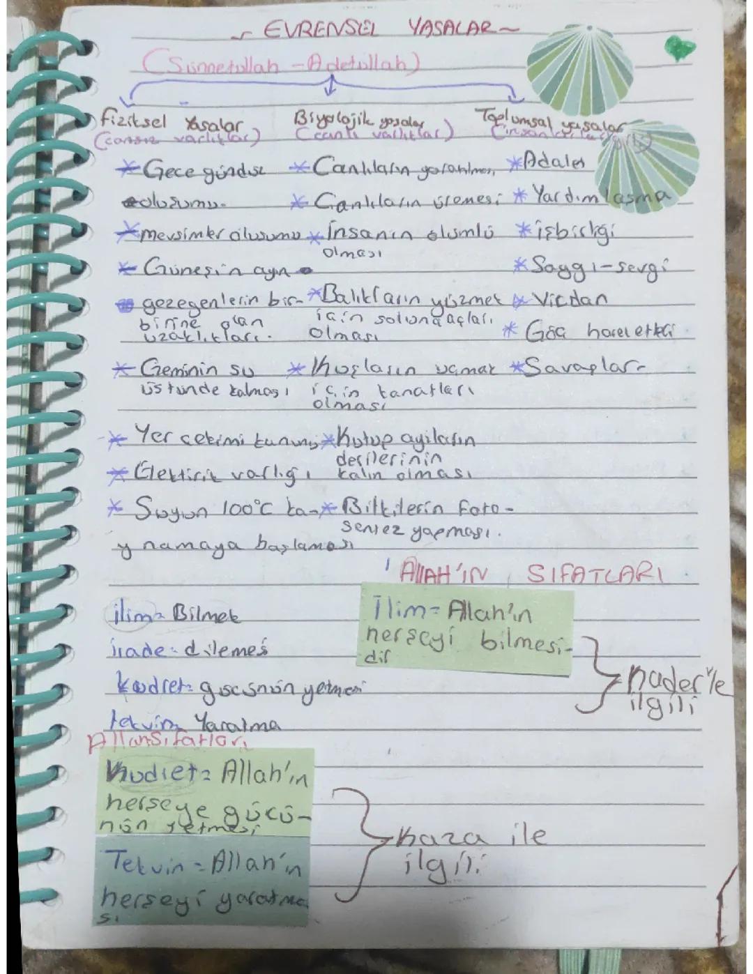 Sünnetullah (evrensel yasalar)