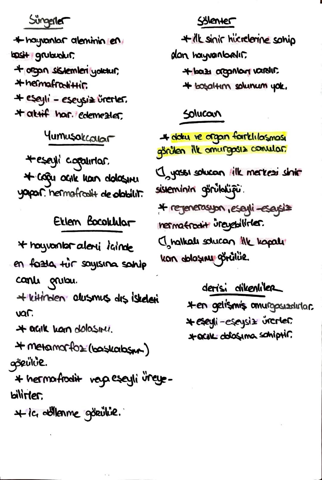 Süngerler
* hayvanlar aleminin en
basit grubudur.
+ organ sistemleri yoktur,
hermafrodittir.
* eşeyli - eseysiz ürerler.
* aktif har. edemez