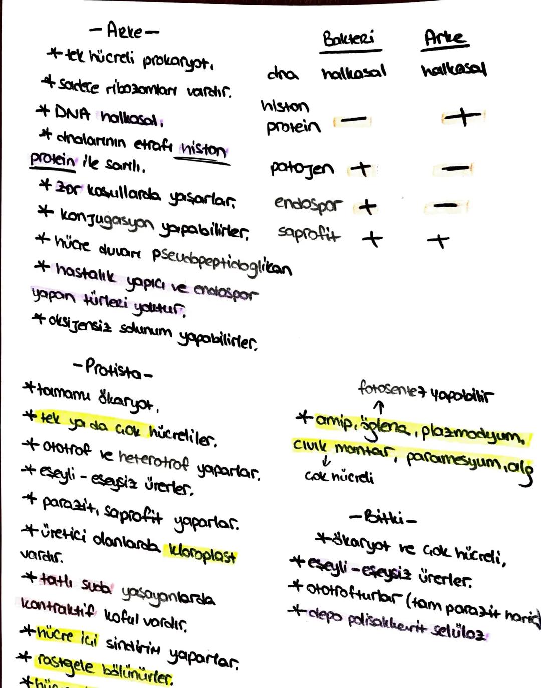 Süngerler
* hayvanlar aleminin en
basit grubudur.
+ organ sistemleri yoktur,
hermafrodittir.
* eşeyli - eseysiz ürerler.
* aktif har. edemez