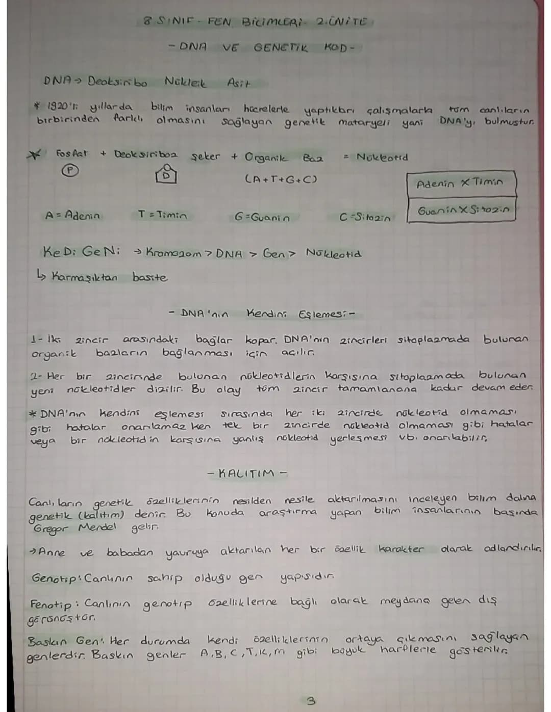 8.sınıf Fen bilimleri 2.ünite 