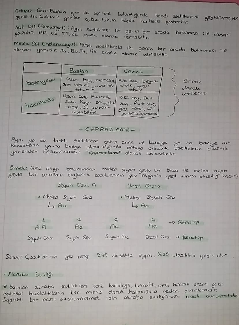 8. SINIF-FEN BiciMLERI 2.UNITE,
- DNA
VE
GENETIK KOD-
DNA Deoksin bo Nikleik
1920' yillar da
birbirinden
farklı
Asit
bilim insanlar hücreler