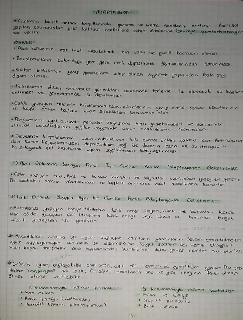 8. SINIF-FEN BiciMLERI 2.UNITE,
- DNA
VE
GENETIK KOD-
DNA Deoksin bo Nikleik
1920' yillar da
birbirinden
farklı
Asit
bilim insanlar hücreler