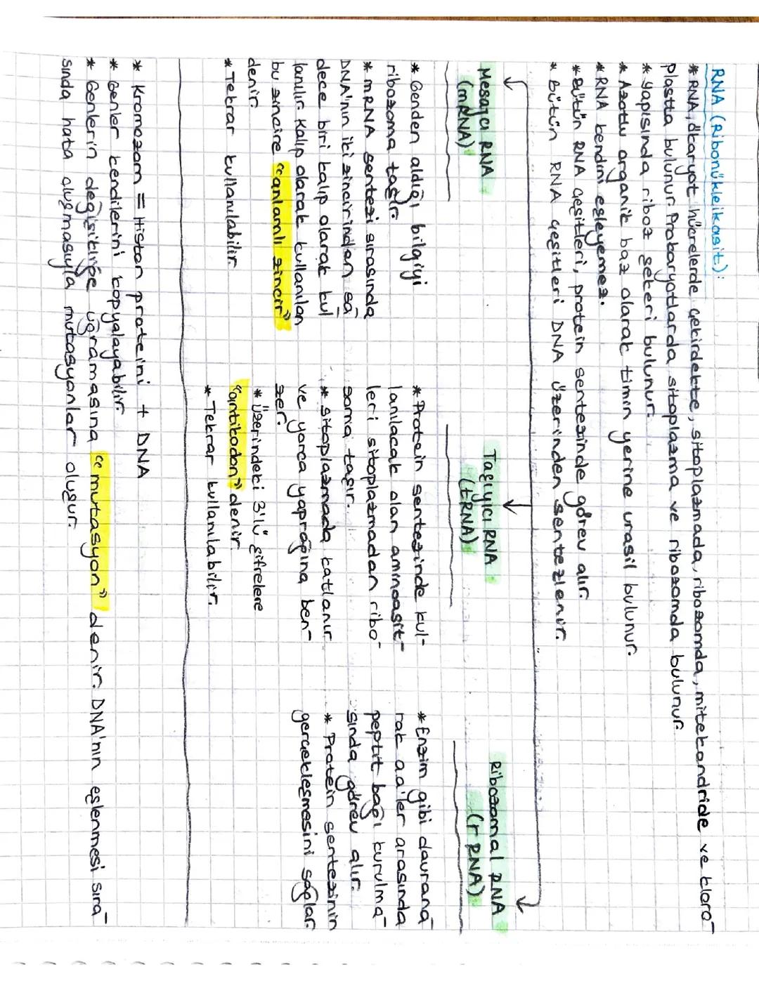 AYT BİYOLOJİ GENDEN PROTEİN