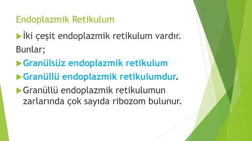 c. Sitoplazma
Sitoplazmanın %65-90'ı sudan oluşur. Hücrenin ihtiyacı
olan tüm organik ve inorganik bileşikler sitoplazma da
yer alır.
ZARSIZ