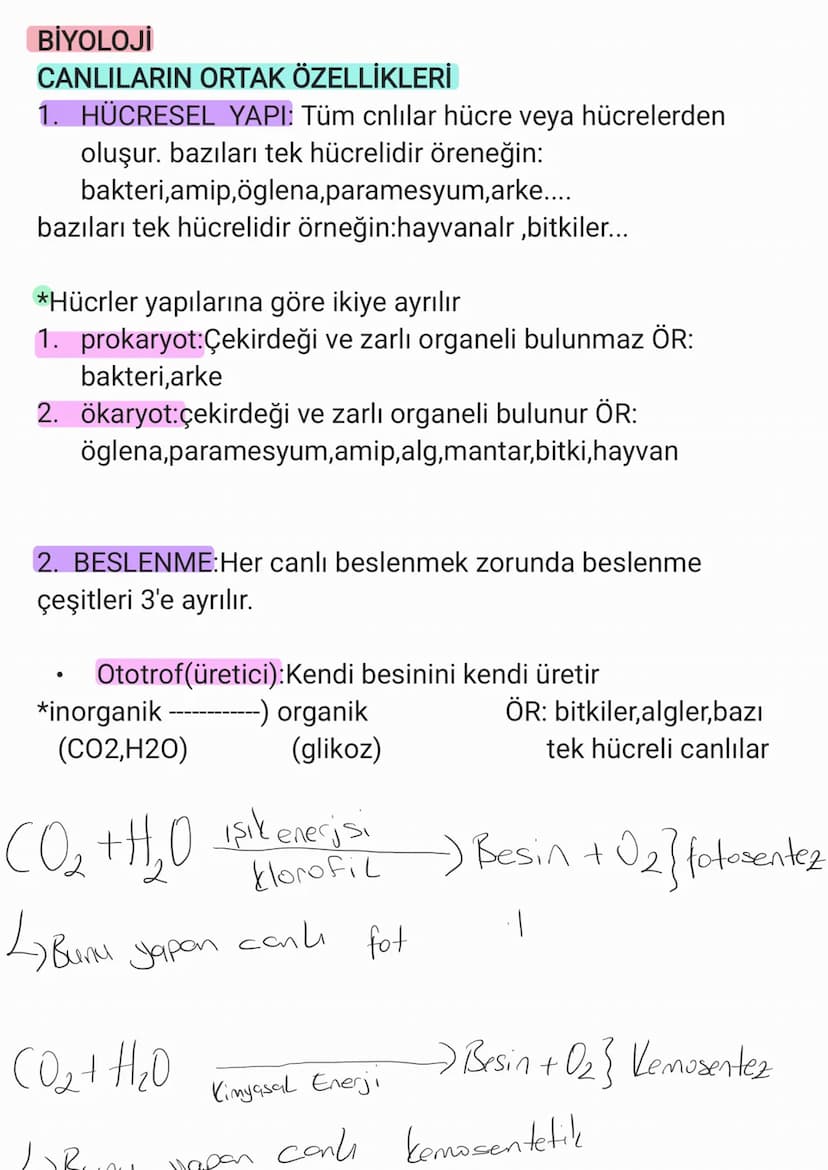 BİYOLOJİ
CANLILARIN ORTAK ÖZELLİKLERİ
1. HÜCRESEL YAPI: Tüm cnlılar hücre veya hücrelerden
oluşur. bazıları tek hücrelidir öreneğin:
bakteri