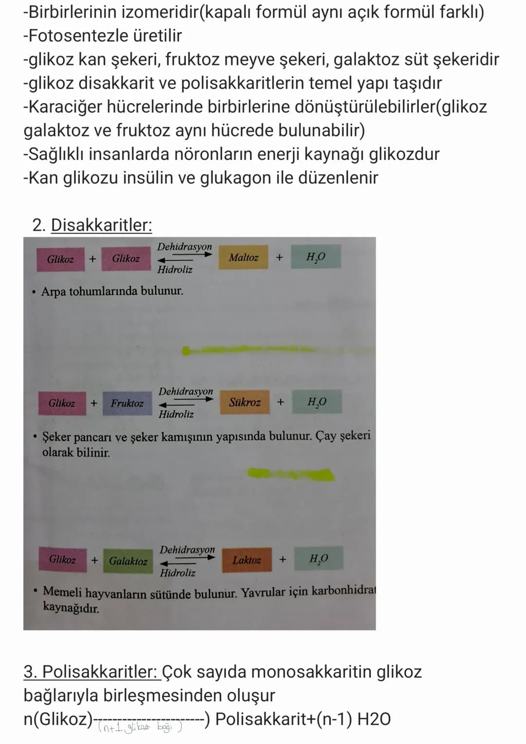 BİYOLOJİ
CANLILARIN ORTAK ÖZELLİKLERİ
1. HÜCRESEL YAPI: Tüm cnlılar hücre veya hücrelerden
oluşur. bazıları tek hücrelidir öreneğin:
bakteri