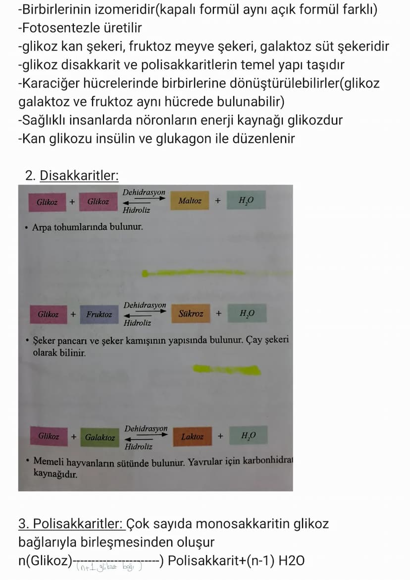 BİYOLOJİ
CANLILARIN ORTAK ÖZELLİKLERİ
1. HÜCRESEL YAPI: Tüm cnlılar hücre veya hücrelerden
oluşur. bazıları tek hücrelidir öreneğin:
bakteri