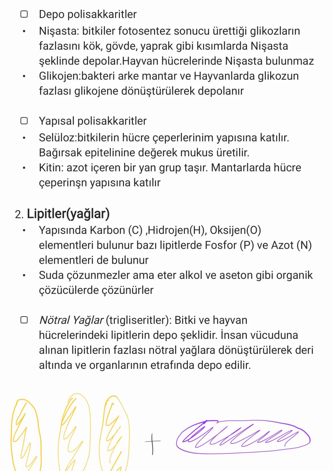 BİYOLOJİ
CANLILARIN ORTAK ÖZELLİKLERİ
1. HÜCRESEL YAPI: Tüm cnlılar hücre veya hücrelerden
oluşur. bazıları tek hücrelidir öreneğin:
bakteri