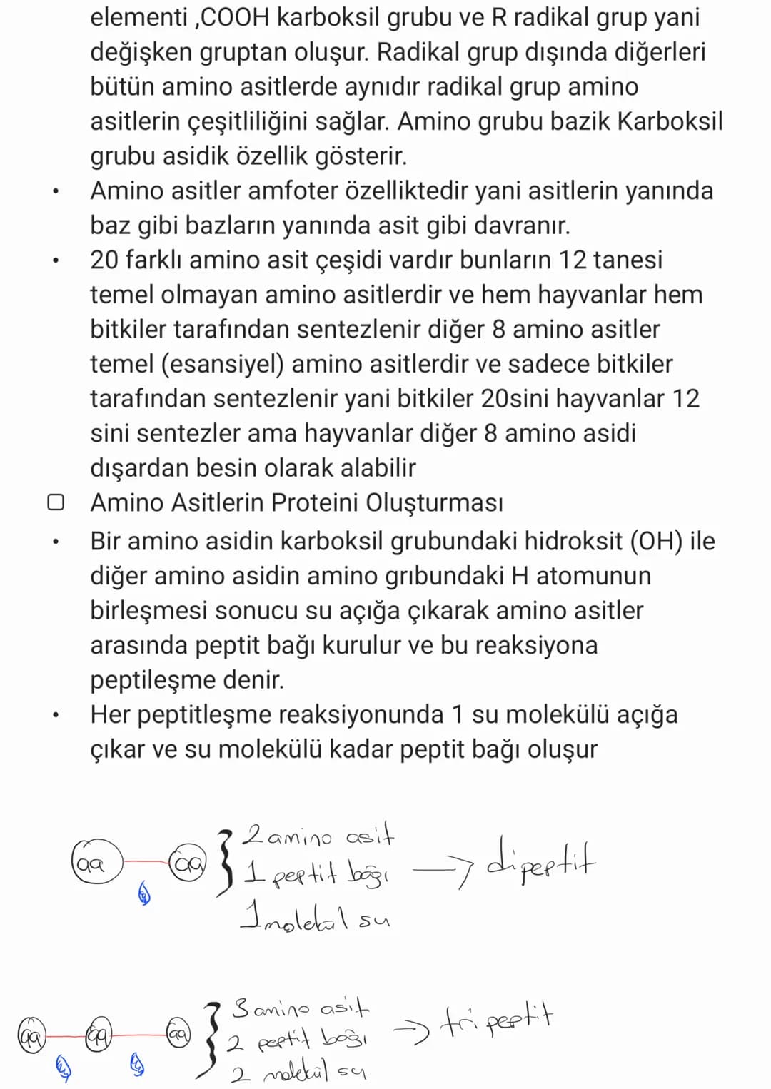 BİYOLOJİ
CANLILARIN ORTAK ÖZELLİKLERİ
1. HÜCRESEL YAPI: Tüm cnlılar hücre veya hücrelerden
oluşur. bazıları tek hücrelidir öreneğin:
bakteri