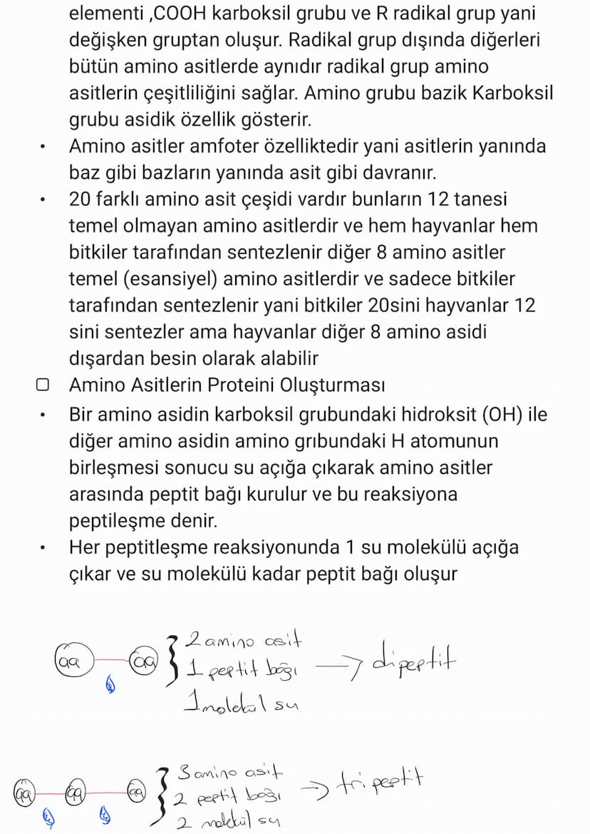 BİYOLOJİ
CANLILARIN ORTAK ÖZELLİKLERİ
1. HÜCRESEL YAPI: Tüm cnlılar hücre veya hücrelerden
oluşur. bazıları tek hücrelidir öreneğin:
bakteri