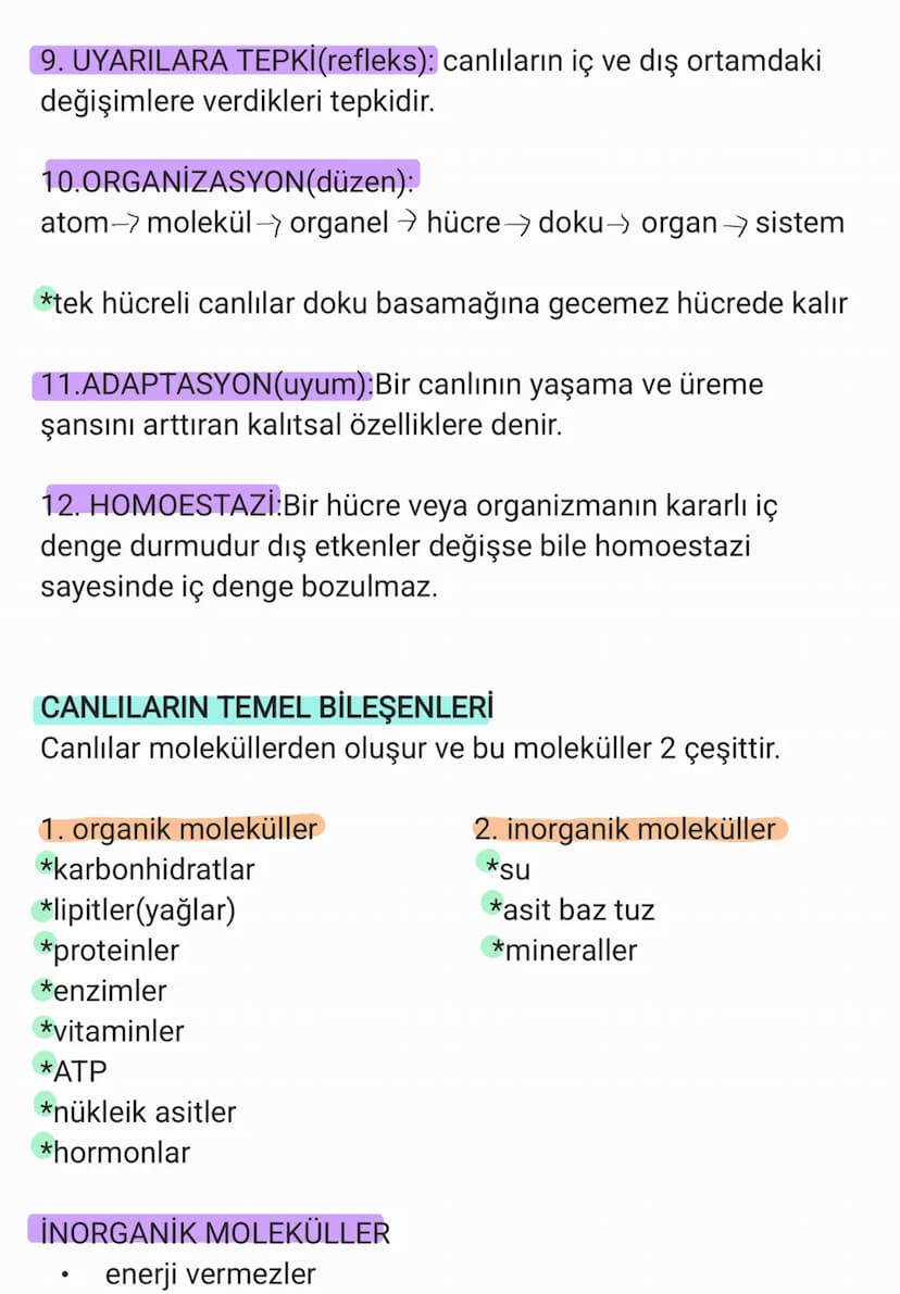 BİYOLOJİ
CANLILARIN ORTAK ÖZELLİKLERİ
1. HÜCRESEL YAPI: Tüm cnlılar hücre veya hücrelerden
oluşur. bazıları tek hücrelidir öreneğin:
bakteri