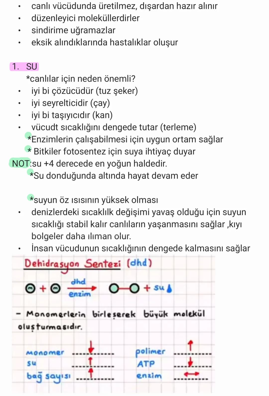 BİYOLOJİ
CANLILARIN ORTAK ÖZELLİKLERİ
1. HÜCRESEL YAPI: Tüm cnlılar hücre veya hücrelerden
oluşur. bazıları tek hücrelidir öreneğin:
bakteri