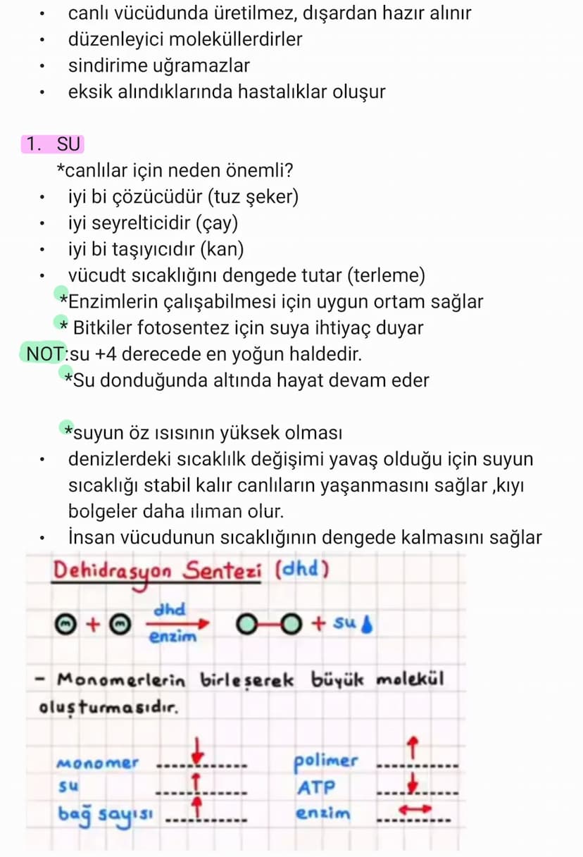 BİYOLOJİ
CANLILARIN ORTAK ÖZELLİKLERİ
1. HÜCRESEL YAPI: Tüm cnlılar hücre veya hücrelerden
oluşur. bazıları tek hücrelidir öreneğin:
bakteri