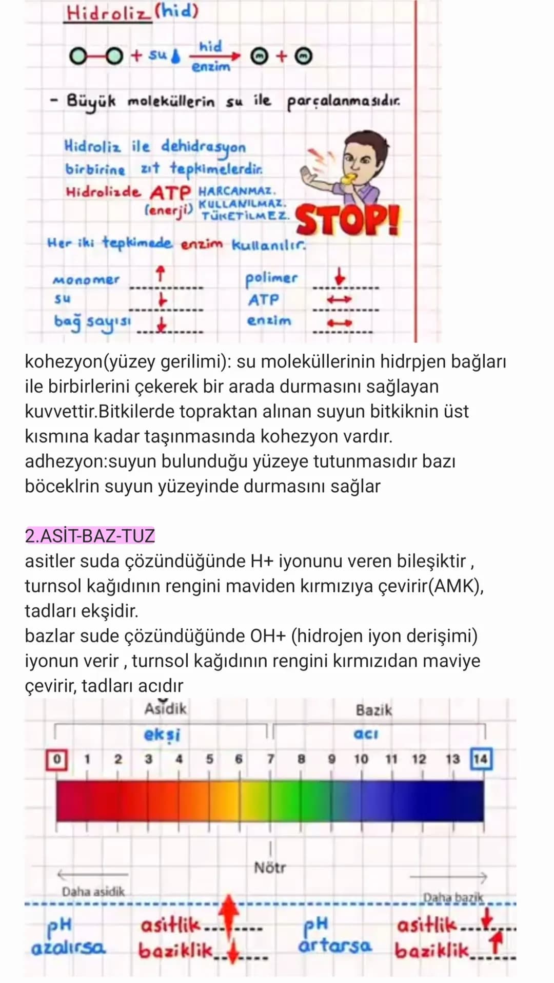 BİYOLOJİ
CANLILARIN ORTAK ÖZELLİKLERİ
1. HÜCRESEL YAPI: Tüm cnlılar hücre veya hücrelerden
oluşur. bazıları tek hücrelidir öreneğin:
bakteri