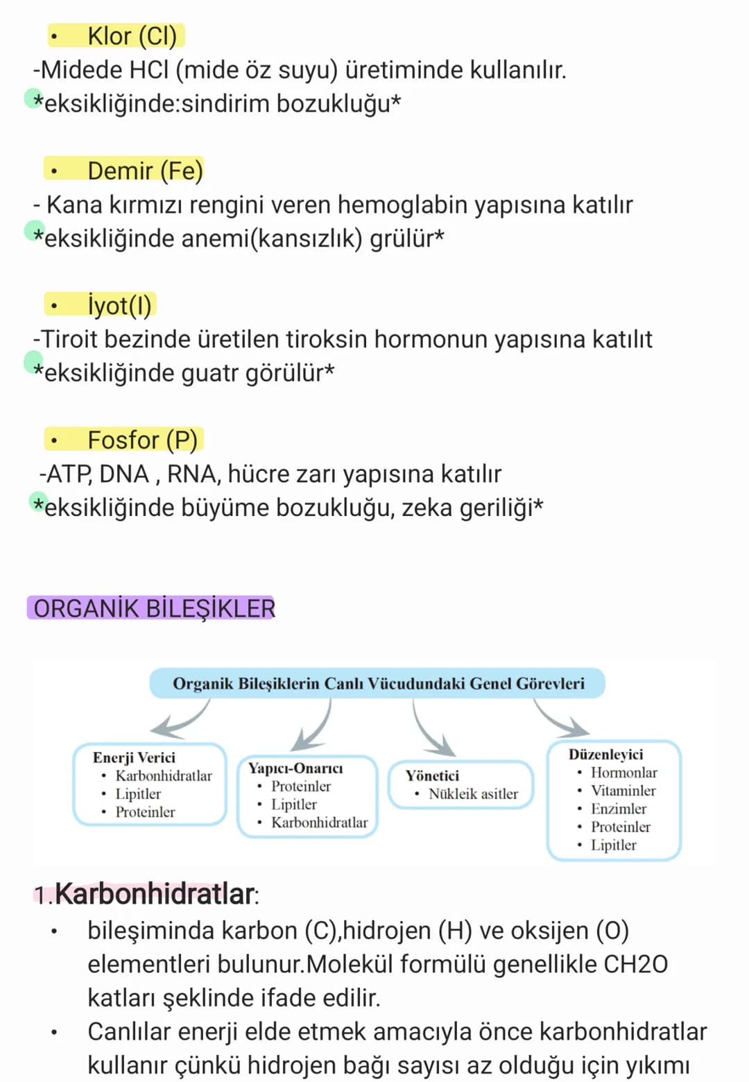 BİYOLOJİ
CANLILARIN ORTAK ÖZELLİKLERİ
1. HÜCRESEL YAPI: Tüm cnlılar hücre veya hücrelerden
oluşur. bazıları tek hücrelidir öreneğin:
bakteri