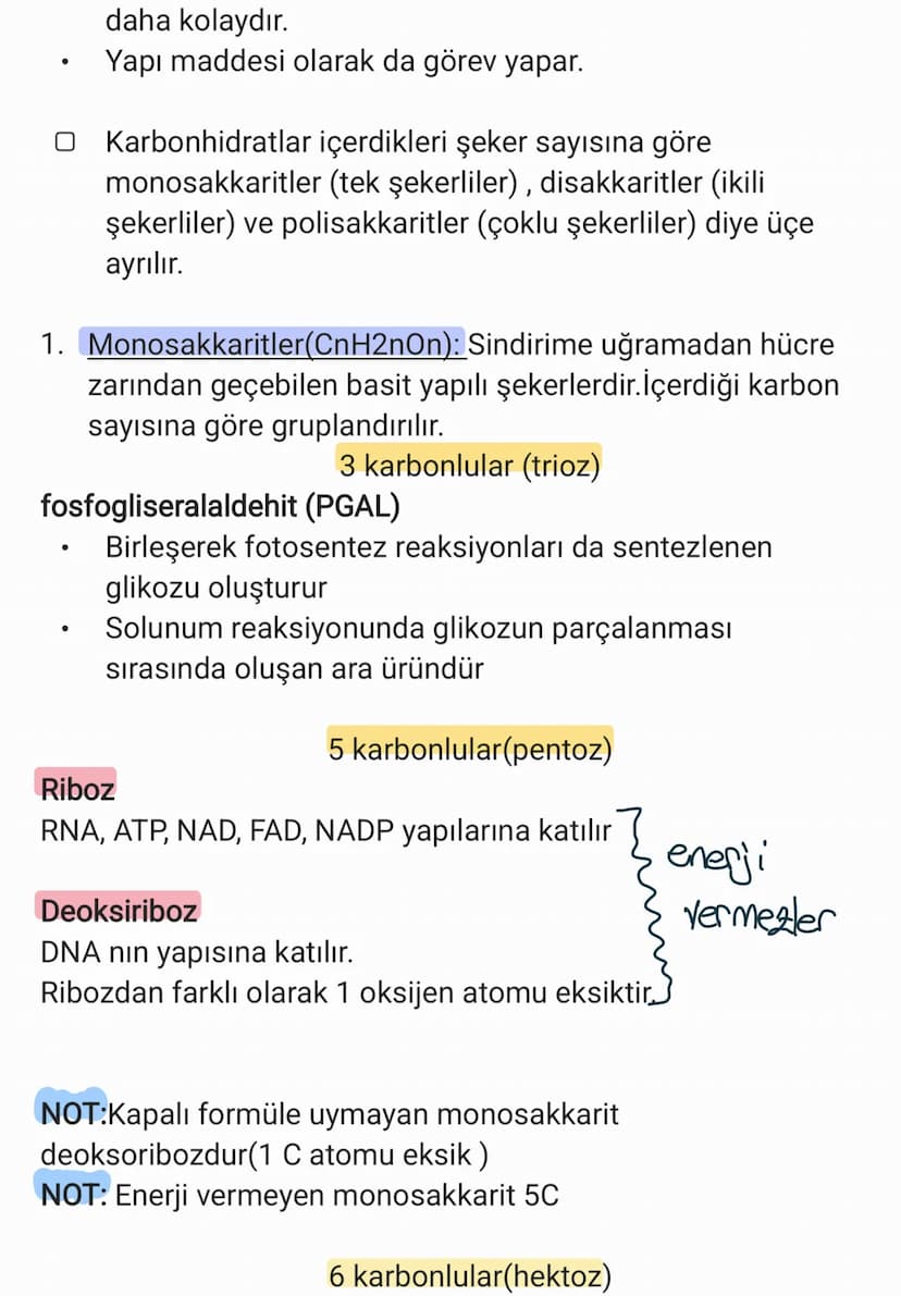 BİYOLOJİ
CANLILARIN ORTAK ÖZELLİKLERİ
1. HÜCRESEL YAPI: Tüm cnlılar hücre veya hücrelerden
oluşur. bazıları tek hücrelidir öreneğin:
bakteri
