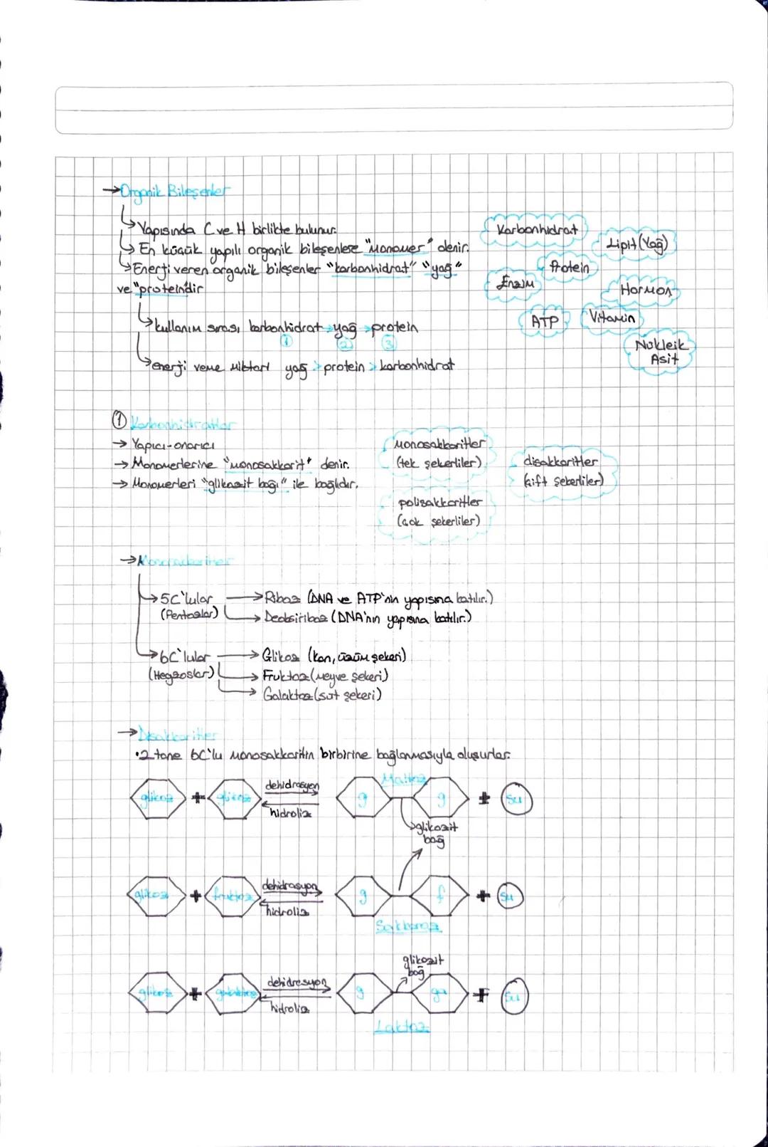 BİYOLOJİ
• CANLILARIN ORTAL ÖZELLİKLERİ
Hücresel Yapı
Solunum
[Homeostos: Hareket (UUM) (Gene)
Bujome ve
Gelişme
Beslenme
Metabolisa
Boşaltu