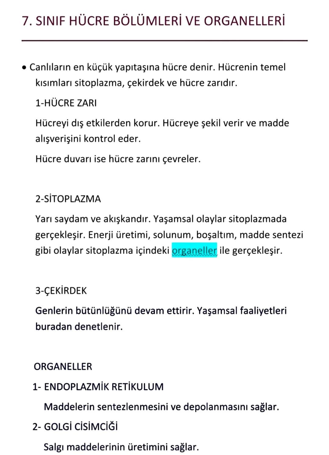 # 7. SINIF HÜCRE BÖLÜMLERİ VE ORGANELLERİ

• Canlıların en küçük yapıtaşına hücre denir. Hücrenin temel
kısımları sitoplazma, çekirdek ve hü