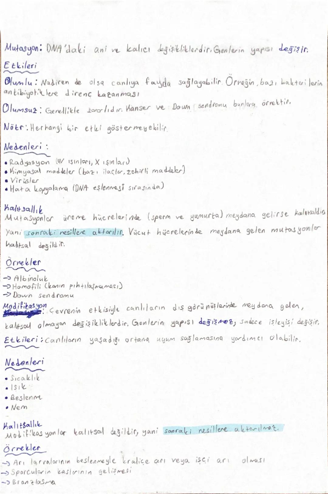 Mutasyon,modifikasyon,adaptasyon ✨🎀