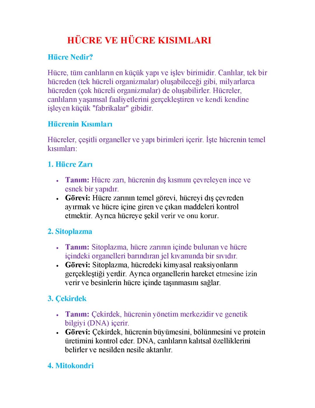 Hücre ve Kısımlarının Detaylı İncelemesi