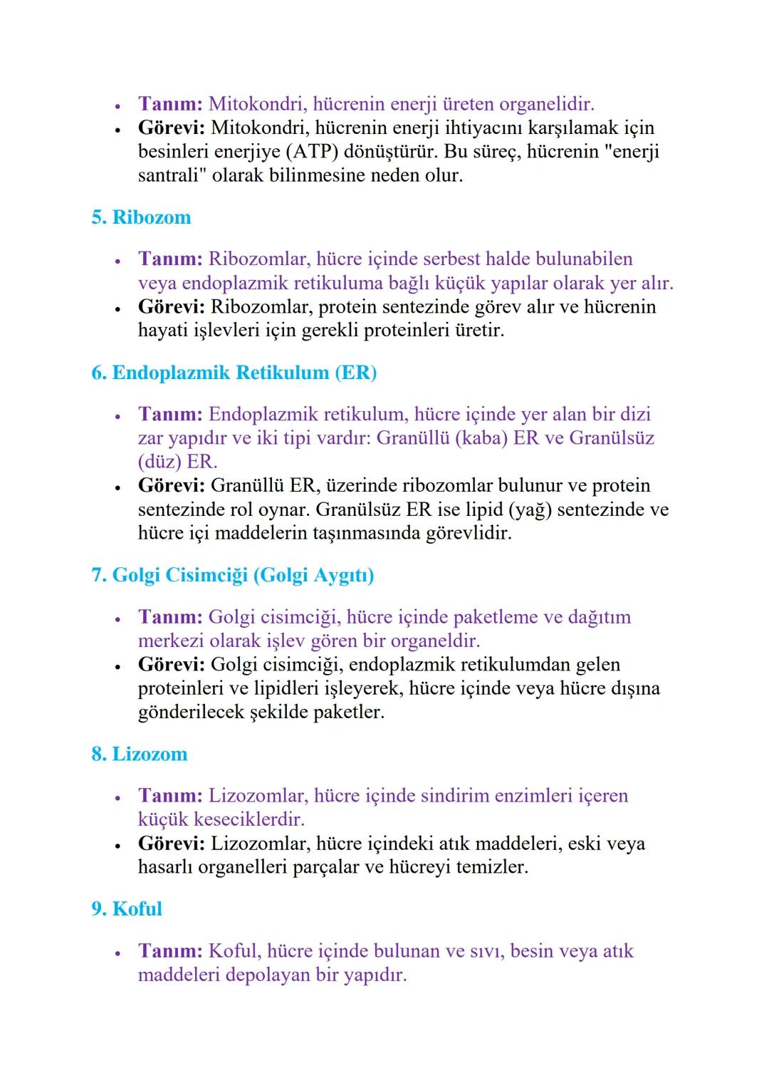 HÜCRE VE HÜCRE KISIMLARI
Hücre Nedir?
Hücre, tüm canlıların en küçük yapı ve işlev birimidir. Canlılar, tek bir
hücreden (tek hücreli organi