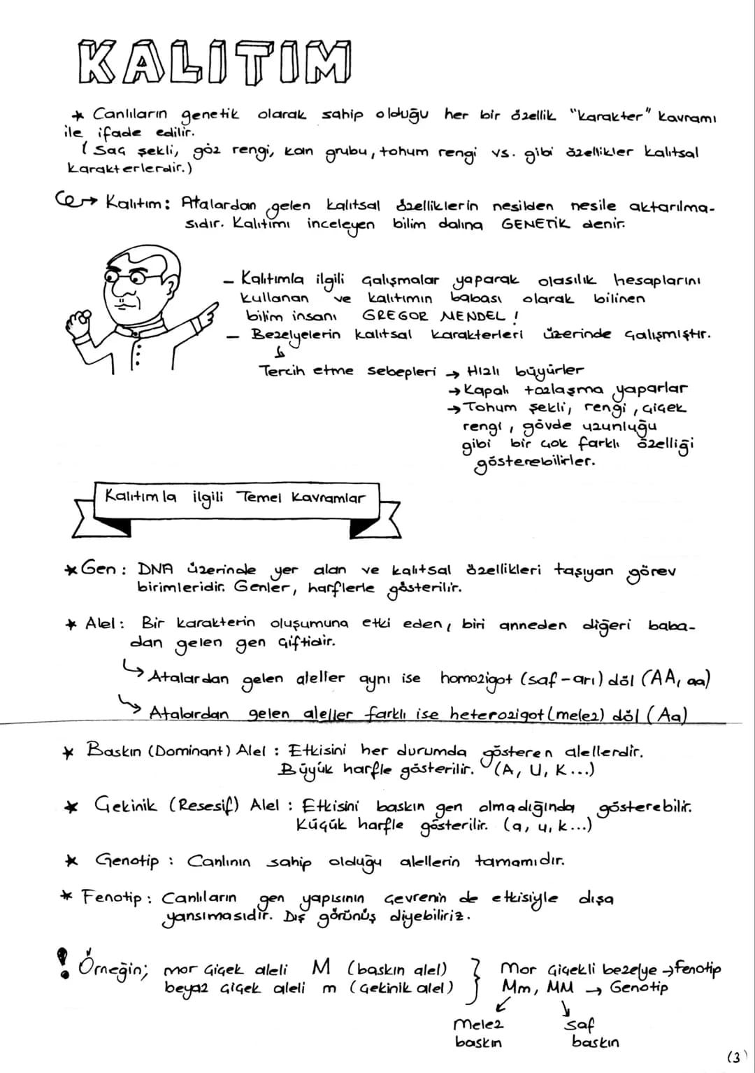 DNA v. GENETİK KOD
DNA
ve
Canlılık özelliklerini ve yaşamsal faaliyetleri kontrol eden
yönetici moleküldür. Gift zincirli sarmal yapıdadır. 