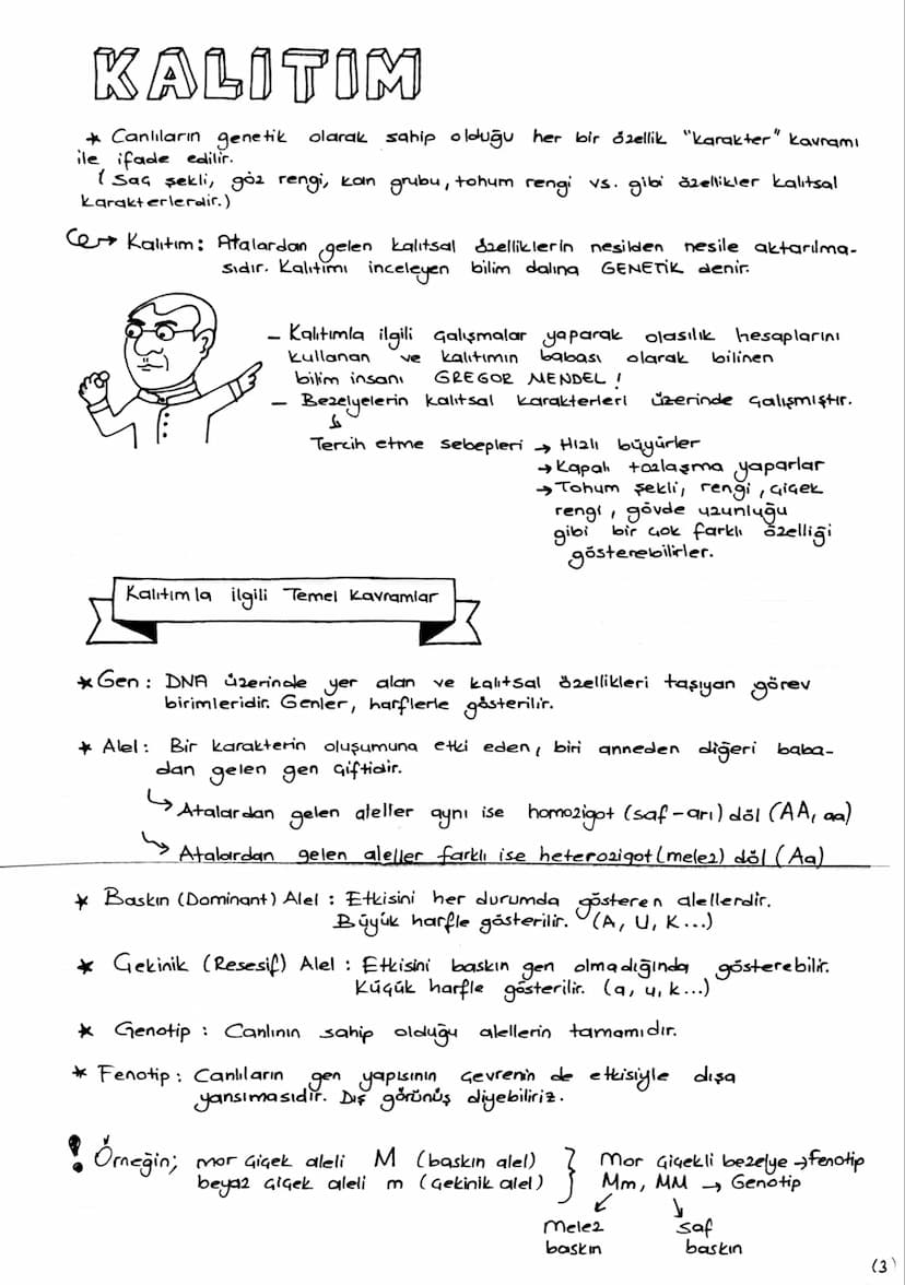 DNA v. GENETİK KOD
DNA
ve
Canlılık özelliklerini ve yaşamsal faaliyetleri kontrol eden
yönetici moleküldür. Gift zincirli sarmal yapıdadır. 