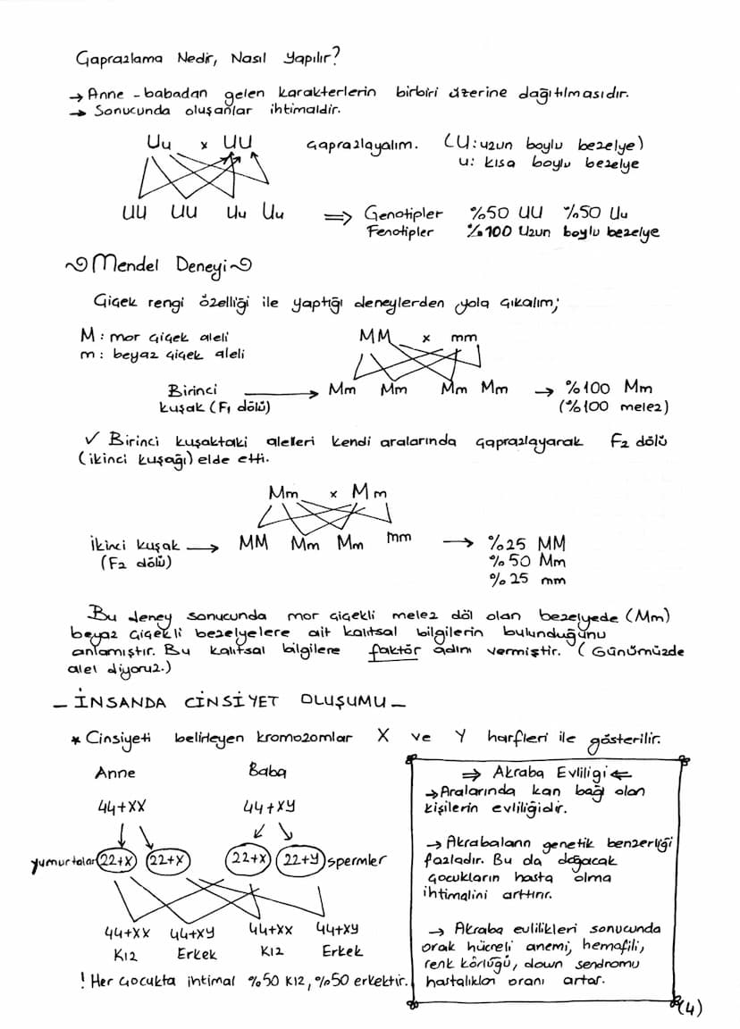 DNA v. GENETİK KOD
DNA
ve
Canlılık özelliklerini ve yaşamsal faaliyetleri kontrol eden
yönetici moleküldür. Gift zincirli sarmal yapıdadır. 