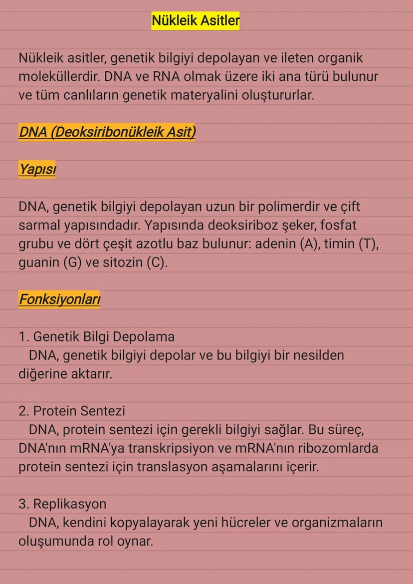 Nükleik Asitler
Nükleik asitler, genetik bilgiyi depolayan ve ileten organik
moleküllerdir. DNA ve RNA olmak üzere iki ana türü bulunur
ve t
