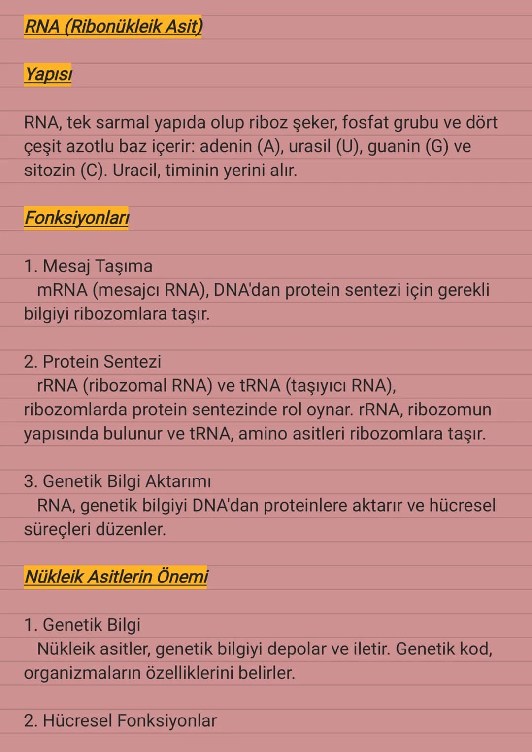 Nükleik Asitler
Nükleik asitler, genetik bilgiyi depolayan ve ileten organik
moleküllerdir. DNA ve RNA olmak üzere iki ana türü bulunur
ve t