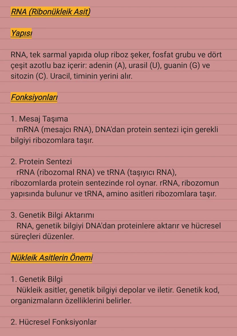 Nükleik Asitler
Nükleik asitler, genetik bilgiyi depolayan ve ileten organik
moleküllerdir. DNA ve RNA olmak üzere iki ana türü bulunur
ve t
