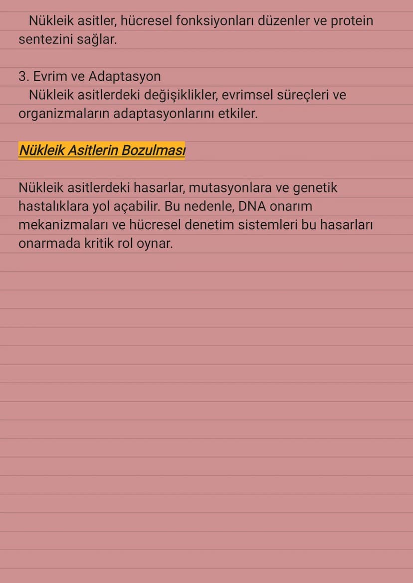 Nükleik Asitler
Nükleik asitler, genetik bilgiyi depolayan ve ileten organik
moleküllerdir. DNA ve RNA olmak üzere iki ana türü bulunur
ve t