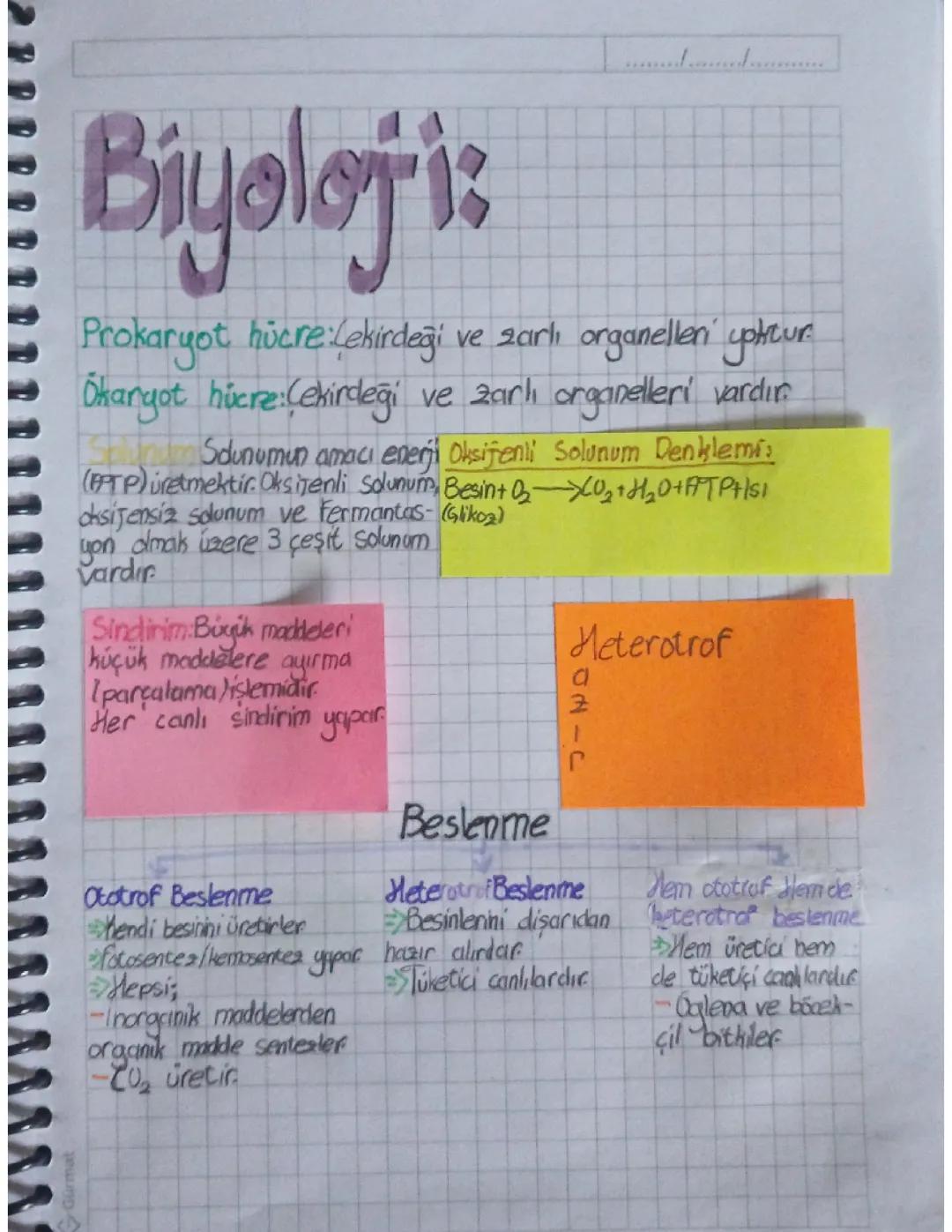 9. Sınıf biyoloji canlıların ortak özellikleri