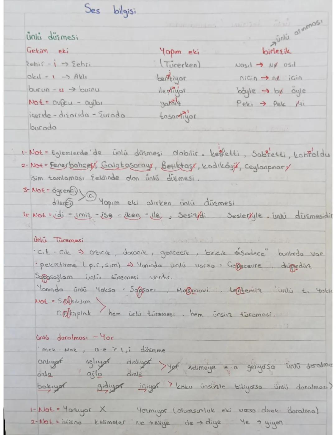 TYT Türkçe: Ses Bilgisi Konuları