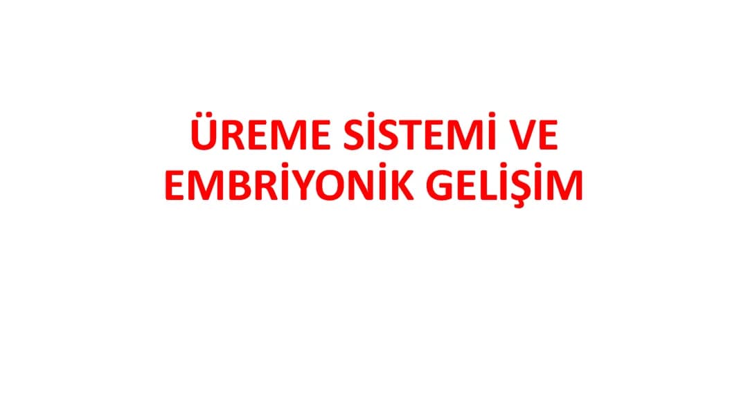 11. Sınıf Üreme Sistemi Özeti ve Notları PDF