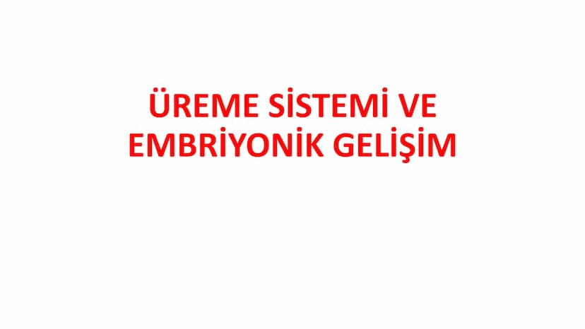 ÜREME SİSTEMİ VE
EMBRİYONİK GELİŞİM ÜREME SİSTEMİNİN YAPI, GÖREV VE İŞLEYİŞİ
•
•
•
Canlıların ortak özelliklerinden birisi de üremedir.
Çok 