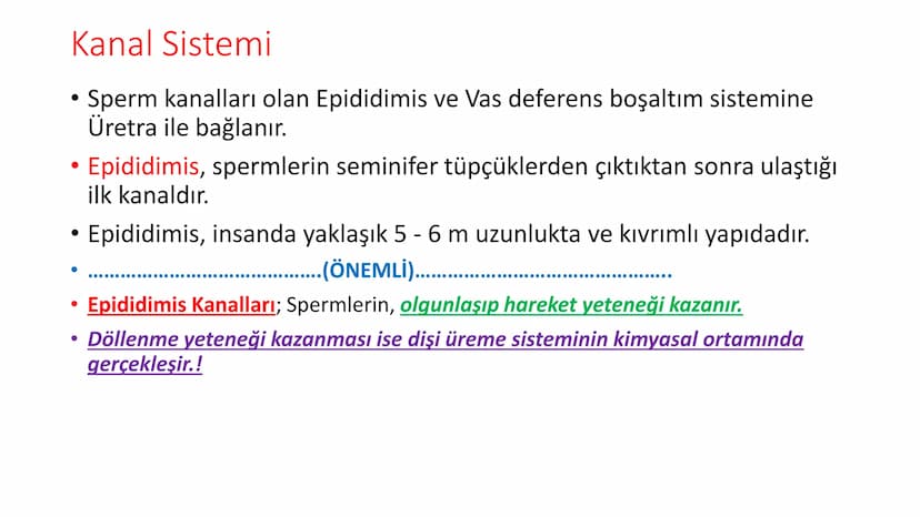 ÜREME SİSTEMİ VE
EMBRİYONİK GELİŞİM ÜREME SİSTEMİNİN YAPI, GÖREV VE İŞLEYİŞİ
•
•
•
Canlıların ortak özelliklerinden birisi de üremedir.
Çok 