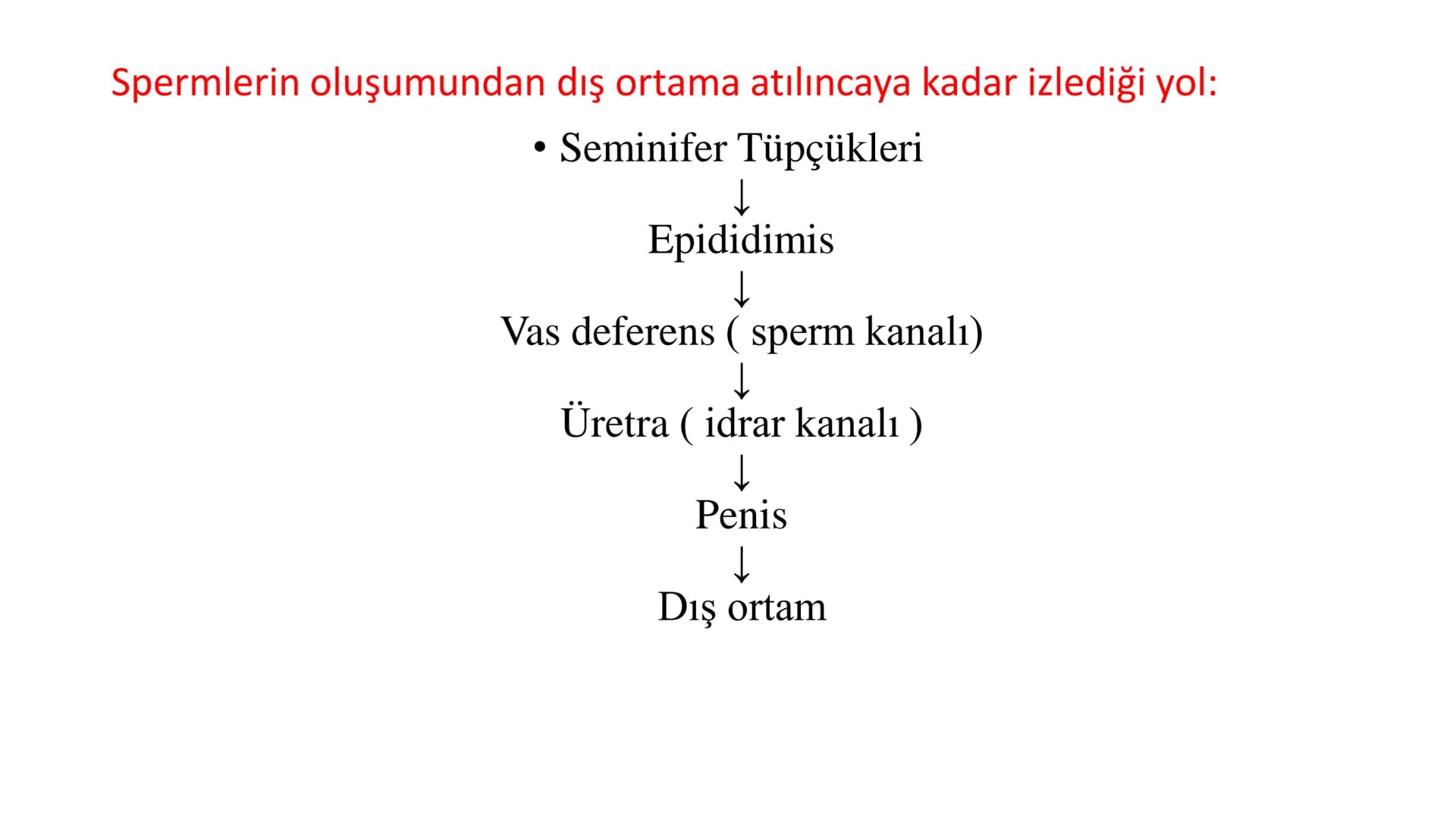 ÜREME SİSTEMİ VE
EMBRİYONİK GELİŞİM ÜREME SİSTEMİNİN YAPI, GÖREV VE İŞLEYİŞİ
•
•
•
Canlıların ortak özelliklerinden birisi de üremedir.
Çok 