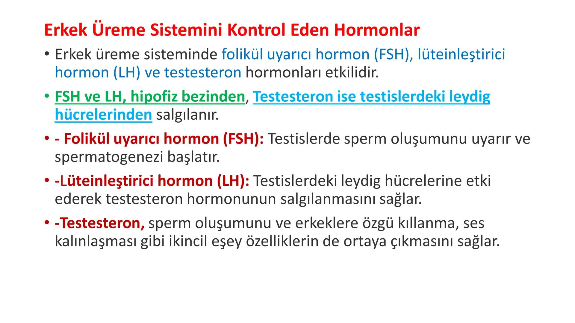 ÜREME SİSTEMİ VE
EMBRİYONİK GELİŞİM ÜREME SİSTEMİNİN YAPI, GÖREV VE İŞLEYİŞİ
•
•
•
Canlıların ortak özelliklerinden birisi de üremedir.
Çok 