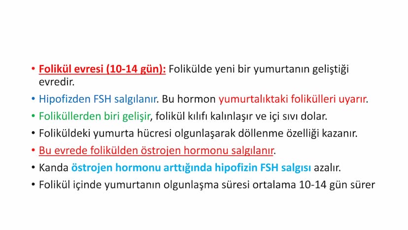 ÜREME SİSTEMİ VE
EMBRİYONİK GELİŞİM ÜREME SİSTEMİNİN YAPI, GÖREV VE İŞLEYİŞİ
•
•
•
Canlıların ortak özelliklerinden birisi de üremedir.
Çok 