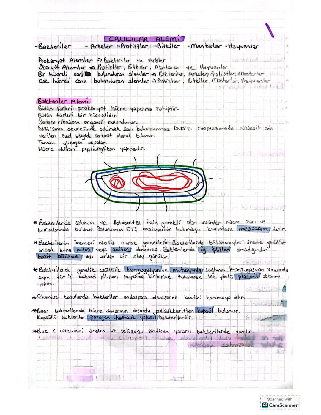 Dokuzuncu sınıf biyoloji