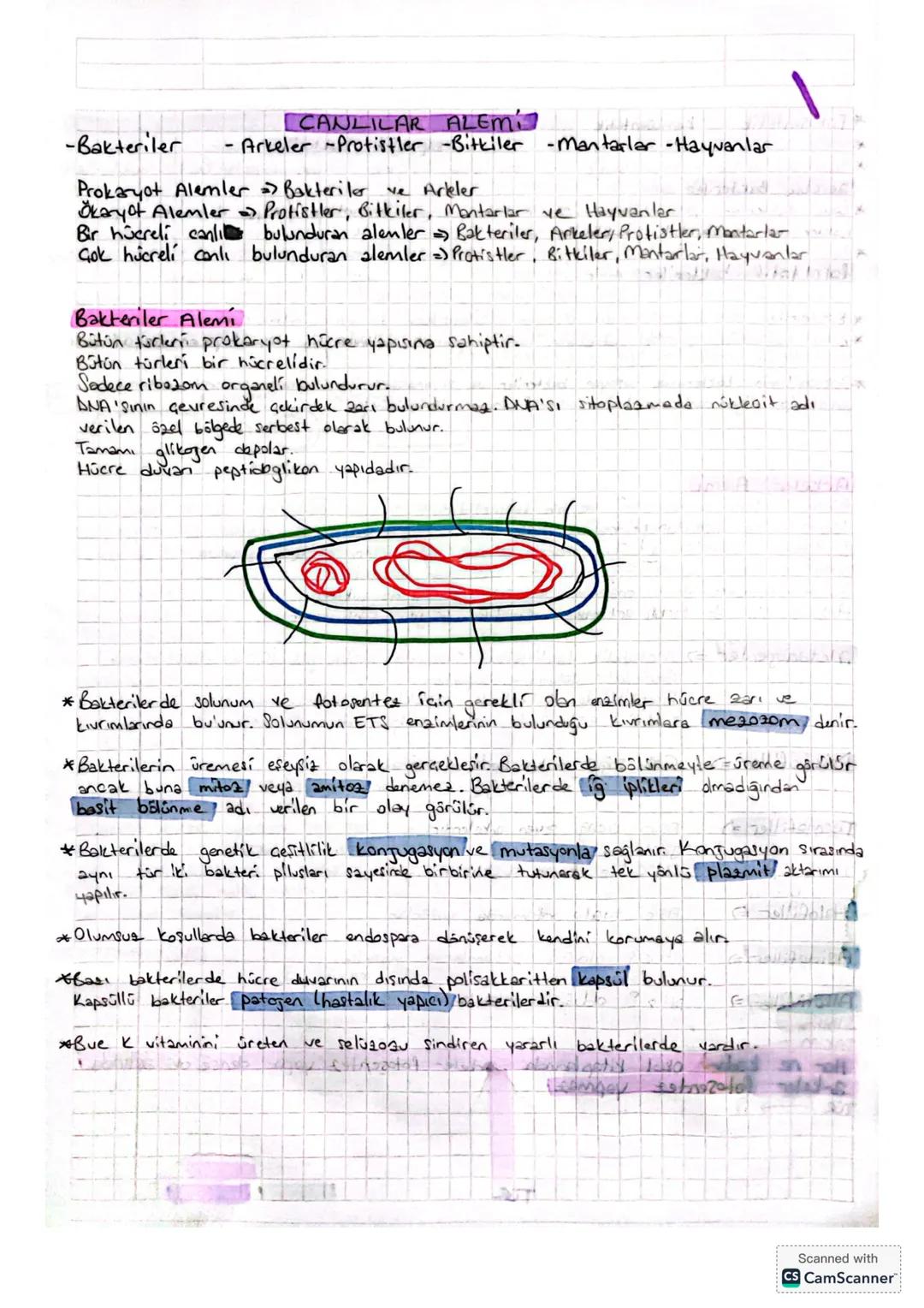 -Bakteriler
-
CANLILAR ALEM!
Arkeler Protistler -Bitkiler - Mantarlar -Hayvanlar
Prokaryot Alemler => Bakteriler ve Arkeler
Okary of Alemler