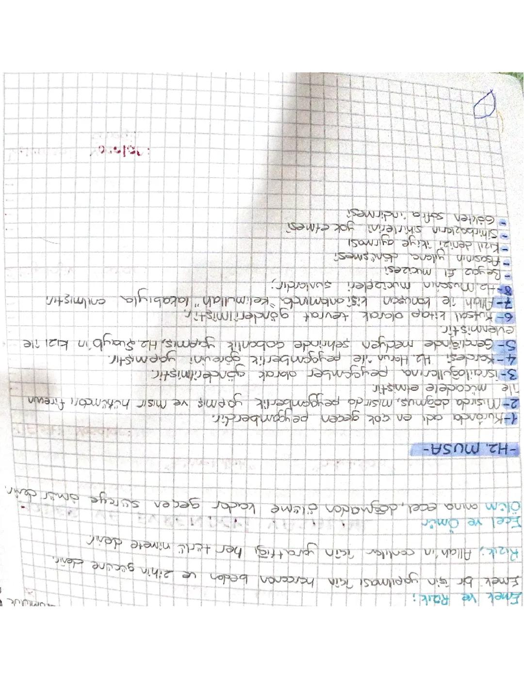 Din kültürü ve ahlak bilgisi hz musa ile ilgili bilinmesi gerekenler