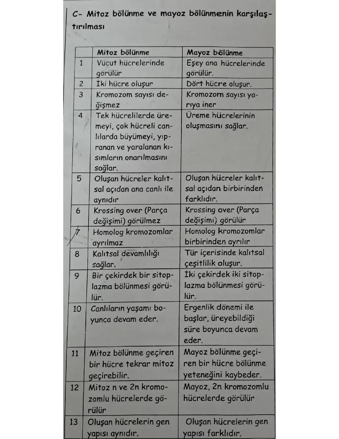 Mitoz ve Mayoz Bölünme Arasındaki Farklar